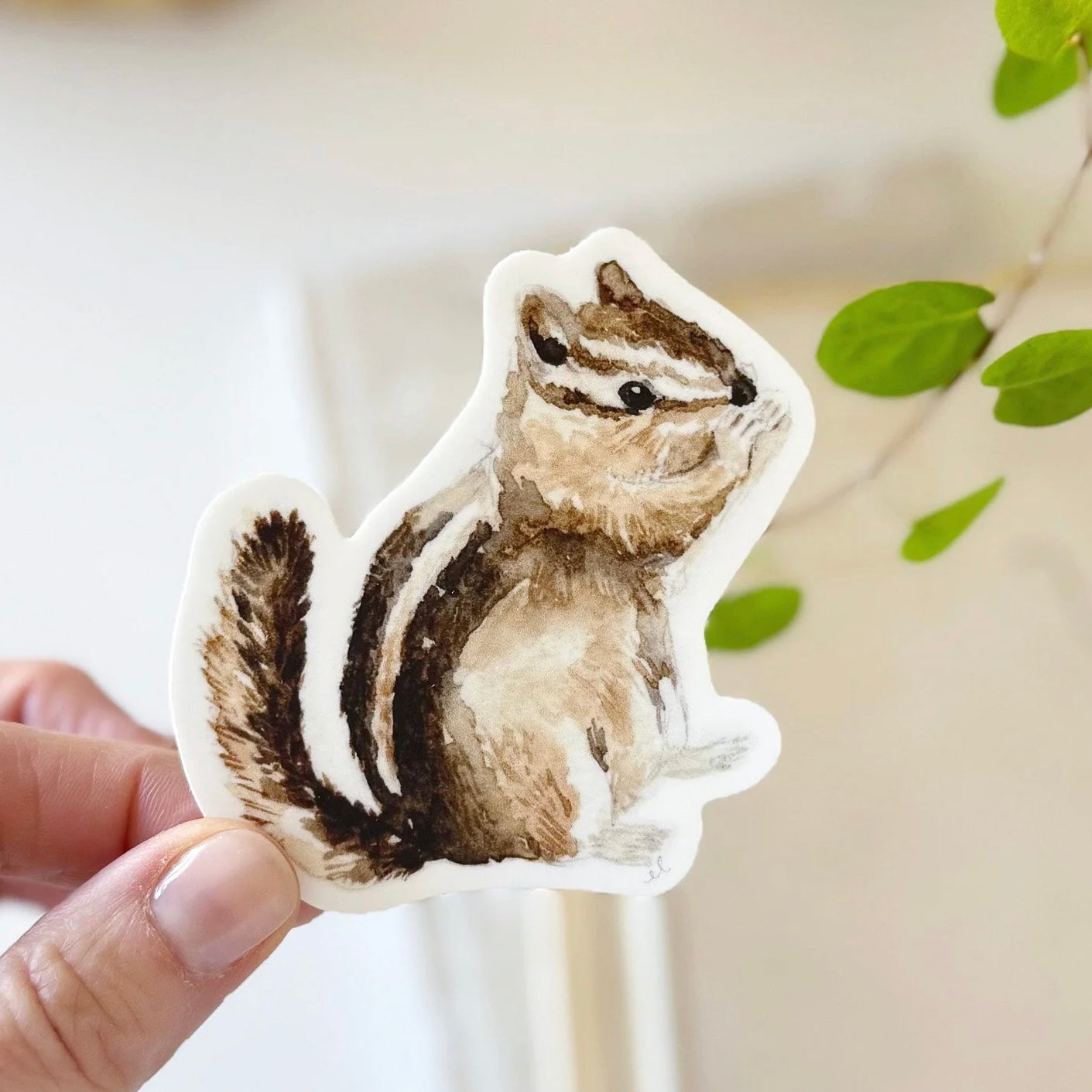 Chipmunk Sticker